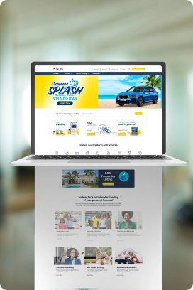 Web Development